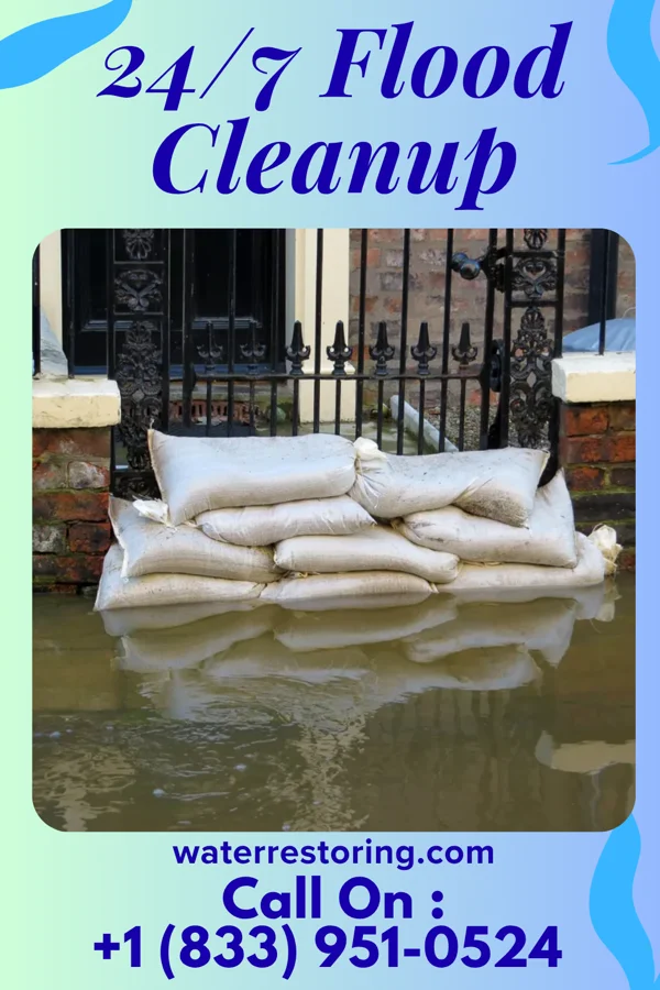 24/7 Flood Cleanup in Vero Beach South, FL