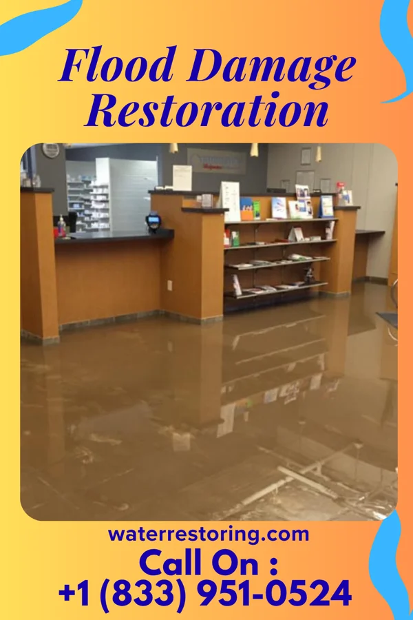 Flood Damage Restoration in Vero Beach South, FL