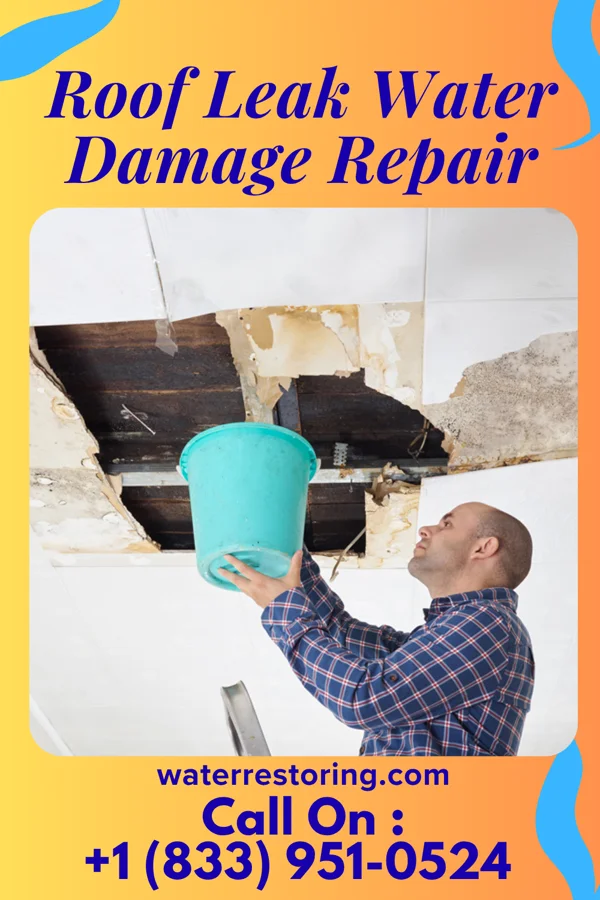 Roof Leak Water Damage Repair in Vero Beach South, FL