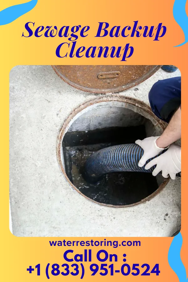 Sewage Backup Cleanup in Vero Beach South, FL
